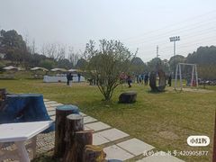 -桃园农庄·桃源宴