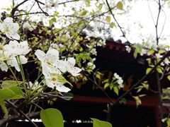 景点-李白纪念馆