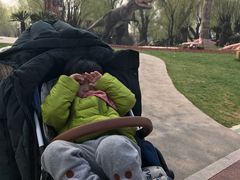 -南通洲际绿博园