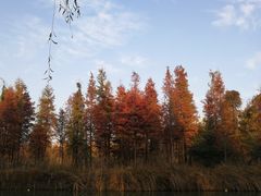 -艾溪湖湿地公园