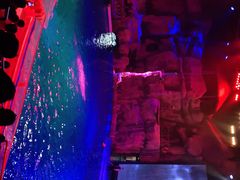 -芜湖新华联大白鲸海洋公园