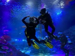 -沈阳海洋探索中心