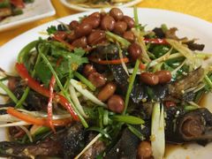 -鸽王世家(东华东路店)