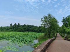 -白鹭湾湿地公园