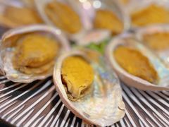 -黑松白鹿(崇文门新活馆店)