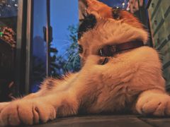 -BUND·FIVE外滩5号(天际店)