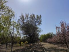 -永定河休闲森林公园