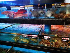 水产区-海南大院(海甸岛店)