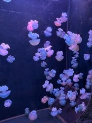 -Zoolung Zoolung动物主题公园(海信广场店)