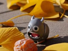 -三里屯东五街银杏大道