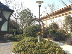 -苏州湾王焰温泉度假酒店
