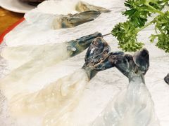 罗氏虾虾生-寻味顺德·南记酒家·传统顺德菜·鱼生(广源路店)