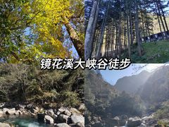-炎陵县神农谷国家森林公园
