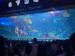 -泉城欧乐堡海洋极地世界