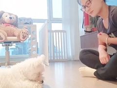 -多乐狗狗宠物训练工作室