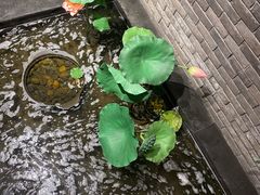 -陶然风味园(广场路店)