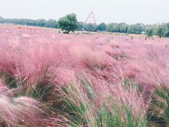 -艾溪湖湿地公园