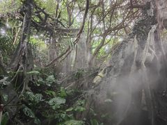 -青青世界