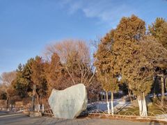 景点-兰山公园