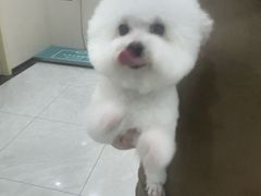 -安安宠医宠物医院·异宠·犬猫内科(岳阳分院)