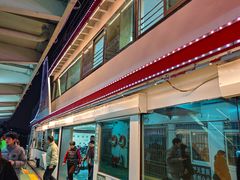 -武汉关码头(轮渡站)