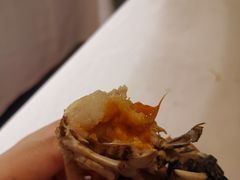 -星伦多 自助料理(圆融店)