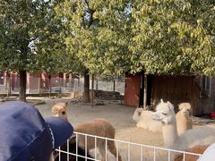 -武汉紫薇都市田园