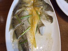 -崂山印象·青岛·海鲜渔家菜
