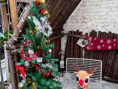 -大象厨房(重庆道店)