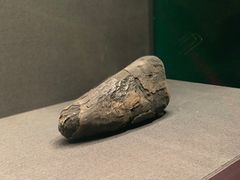 -遇见博物馆(遇见海洋沉浸式奇幻光影展)