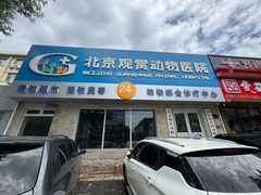 -北京观赏动物医院·24小时大型综合·猫专科·异宠专科
