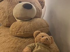 -咖法森林·咖啡  酒吧(天河店)