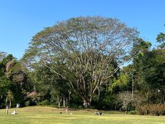 -中国科学院西双版纳热带植物园