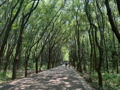 -同里国家湿地公园