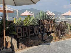 -Brew Farm·精酿农场海滨悬崖餐厅