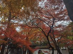 -狼山风景名胜区