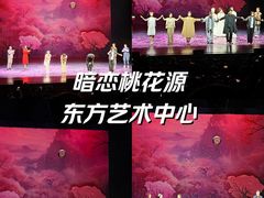-上海东方艺术中心