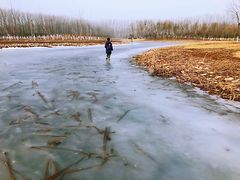 -东郊湿地公园