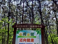 -林海公园