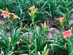 -汉长安城未央宫国家考古遗址公园