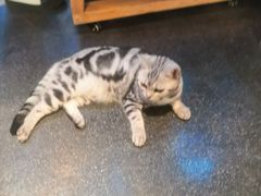 -约网咖(西塔店)