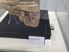 -温州博物馆