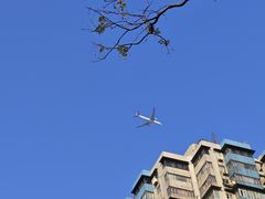 -晓港公园