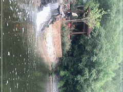 -静之湖湖畔餐厅