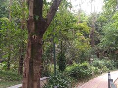 -南国桃园旅游度假区