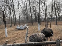 -大连森林动物园