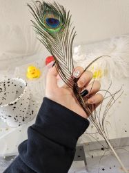 -M·X Nail日式美甲美睫