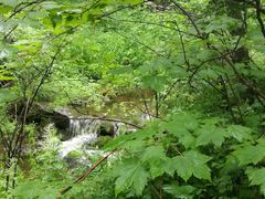 -峡谷浮石林景区