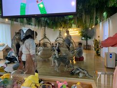 -Husky Go! 哈士奇体验馆·宠物咖啡厅狗咖