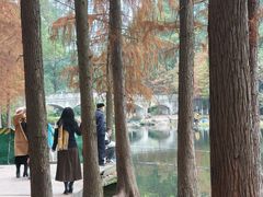 -重庆彩云湖湿地公园